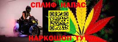 ECSTASY Будённовск
