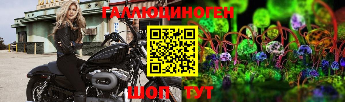 Галлюциногенные грибы Psilocybine cubensis Нижнеудинск